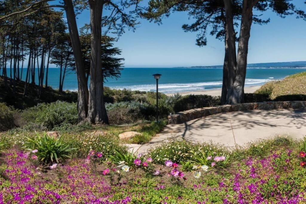 Seascape Ocean View Apartment Aptos